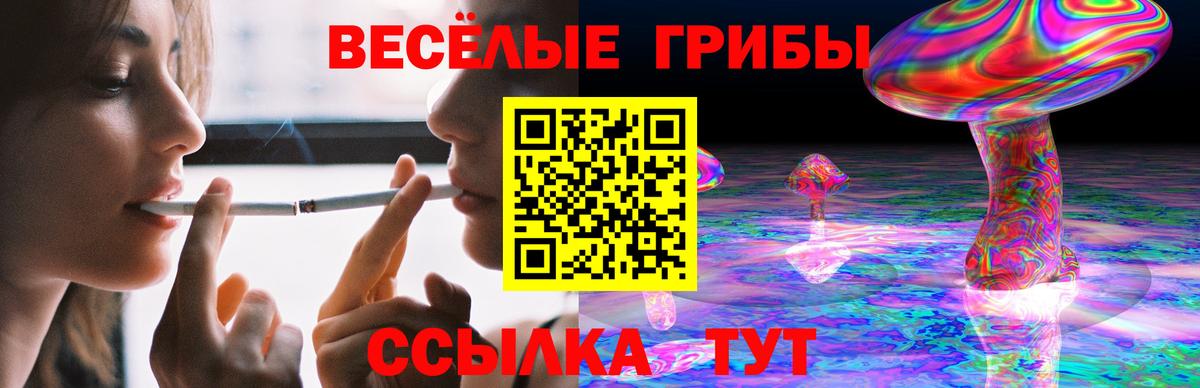 Нальчик  Псилоцибиновые грибы Cubensis  Галлюциногенные грибы Psilocybe  Вход с VPN 