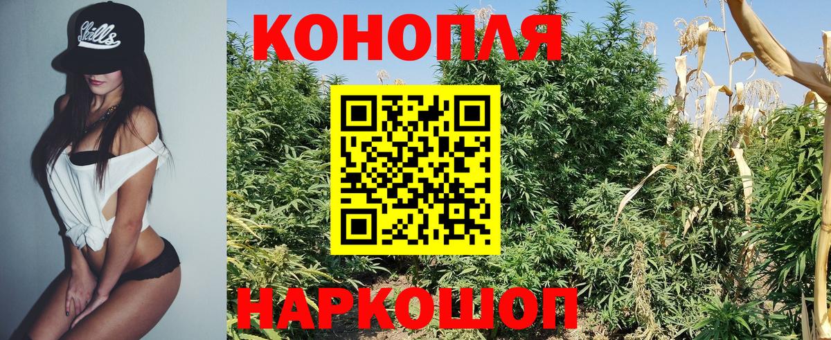 Бошки Шишки конопля Нальчик